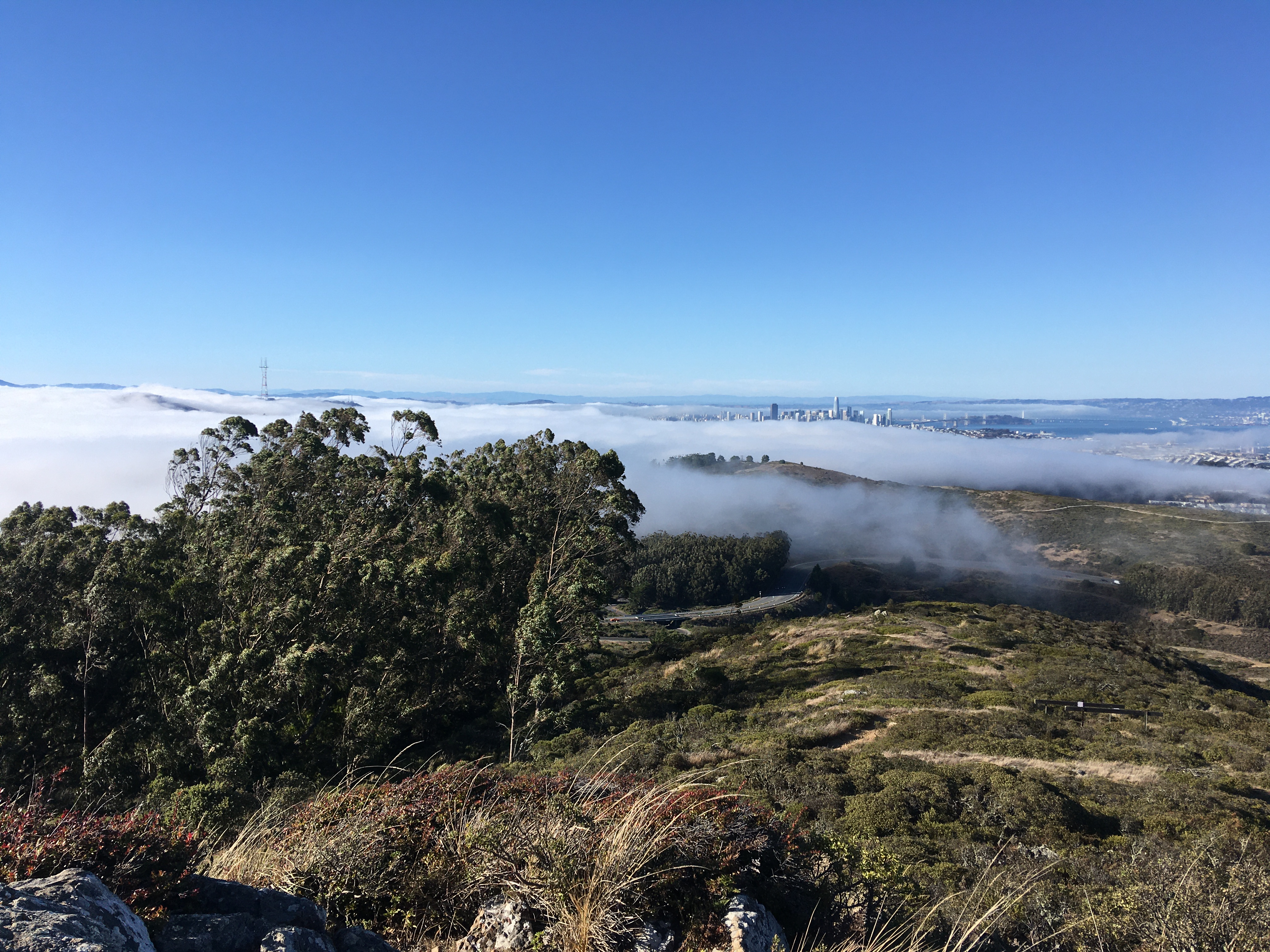 San Bruno Mountain